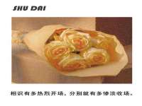 苏州鑫鸿泰电子科技有限公司