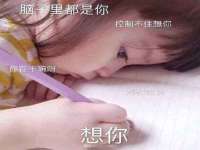 苏州鑫鸿泰电子科技有限公司