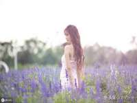 苏州鑫鸿泰电子科技有限公司