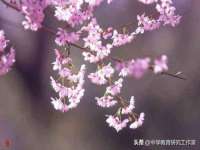 苏州鑫鸿泰电子科技有限公司