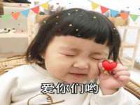 苏州鑫鸿泰电子科技有限公司