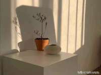 苏州鑫鸿泰电子科技有限公司