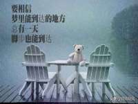 苏州鑫鸿泰电子科技有限公司