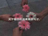 苏州鑫鸿泰电子科技有限公司