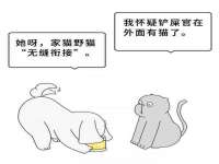 苏州鑫鸿泰电子科技有限公司