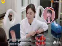苏州鑫鸿泰电子科技有限公司