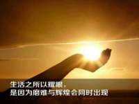 苏州鑫鸿泰电子科技有限公司