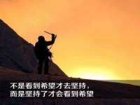 苏州鑫鸿泰电子科技有限公司