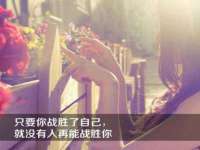 苏州鑫鸿泰电子科技有限公司