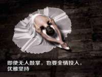 苏州鑫鸿泰电子科技有限公司