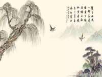 苏州鑫鸿泰电子科技有限公司