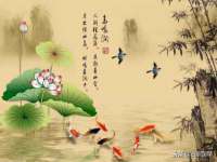 苏州鑫鸿泰电子科技有限公司