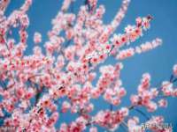 苏州鑫鸿泰电子科技有限公司