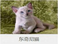 苏州鑫鸿泰电子科技有限公司