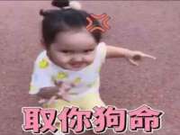 苏州鑫鸿泰电子科技有限公司