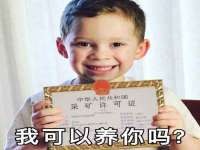 苏州鑫鸿泰电子科技有限公司