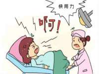 苏州鑫鸿泰电子科技有限公司