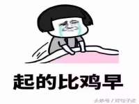 苏州鑫鸿泰电子科技有限公司