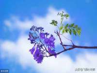苏州鑫鸿泰电子科技有限公司
