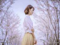 苏州鑫鸿泰电子科技有限公司