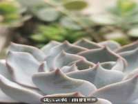 苏州鑫鸿泰电子科技有限公司