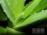 苏州鑫鸿泰电子科技有限公司