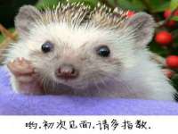 苏州鑫鸿泰电子科技有限公司