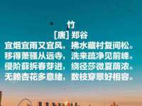 苏州鑫鸿泰电子科技有限公司