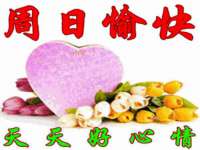 苏州鑫鸿泰电子科技有限公司