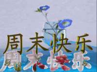 苏州鑫鸿泰电子科技有限公司