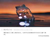 苏州鑫鸿泰电子科技有限公司