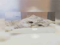 苏州鑫鸿泰电子科技有限公司