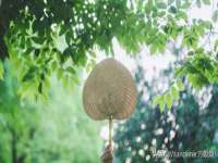 苏州鑫鸿泰电子科技有限公司