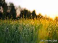 苏州鑫鸿泰电子科技有限公司
