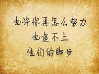 苏州鑫鸿泰电子科技有限公司