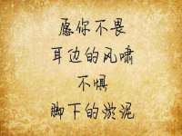 苏州鑫鸿泰电子科技有限公司