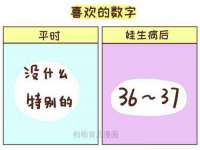 苏州鑫鸿泰电子科技有限公司