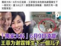 苏州鑫鸿泰电子科技有限公司