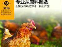 苏州鑫鸿泰电子科技有限公司