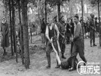 苏州鑫鸿泰电子科技有限公司