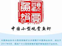 苏州鑫鸿泰电子科技有限公司