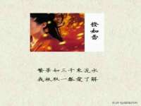 苏州鑫鸿泰电子科技有限公司