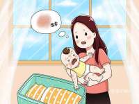 苏州鑫鸿泰电子科技有限公司