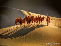 苏州鑫鸿泰电子科技有限公司