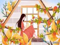 苏州鑫鸿泰电子科技有限公司