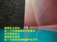 苏州鑫鸿泰电子科技有限公司