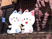 苏州鑫鸿泰电子科技有限公司