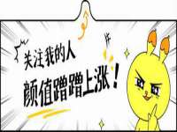 苏州鑫鸿泰电子科技有限公司