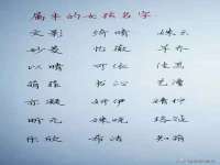 苏州鑫鸿泰电子科技有限公司
