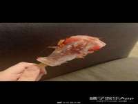 苏州鑫鸿泰电子科技有限公司
